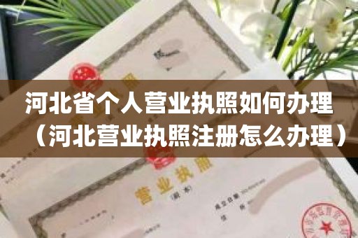 河北省个人营业执照如何办理（河北营业执照注册怎么办理）