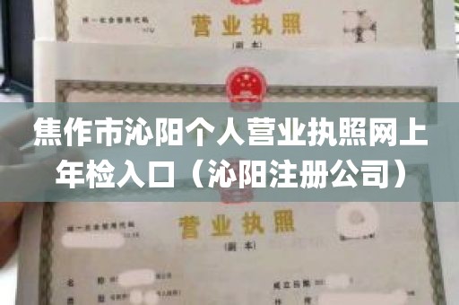 焦作市沁阳个人营业执照网上年检入口（沁阳注册公司）