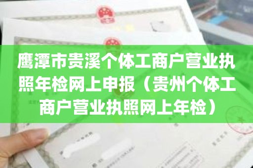 鹰潭市贵溪个体工商户营业执照年检网上申报（贵州个体工商户营业执照网上年检）