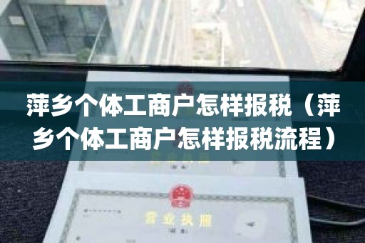 萍乡个体工商户怎样报税（萍乡个体工商户怎样报税流程）