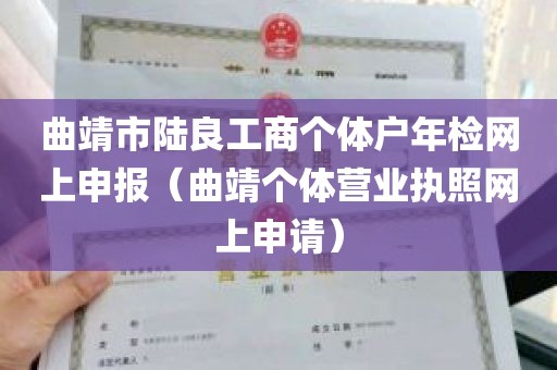 曲靖市陆良工商个体户年检网上申报（曲靖个体营业执照网上申请）