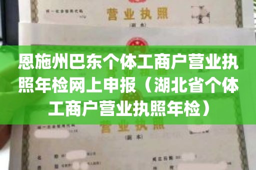 恩施州巴东个体工商户营业执照年检网上申报（湖北省个体工商户营业执照年检）