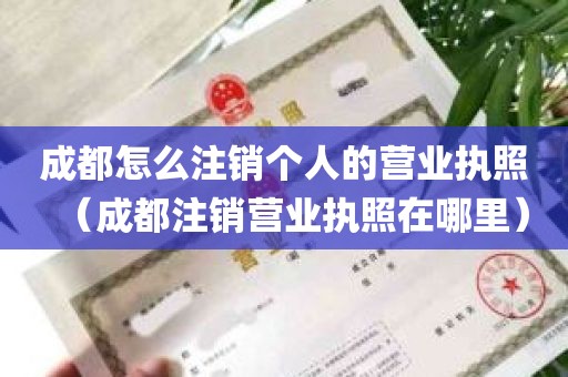 成都怎么注销个人的营业执照（成都注销营业执照在哪里）