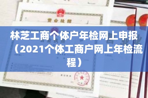 林芝工商个体户年检网上申报（2021个体工商户网上年检流程）