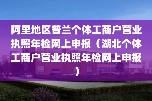 阿里地区普兰个体工商户营业执照年检网上申报（湖北个体工商户营业执照年检网上申报）