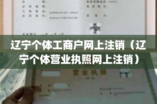 辽宁个体工商户网上注销（辽宁个体营业执照网上注销）