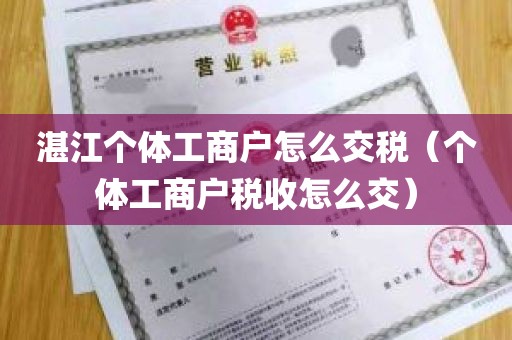 湛江个体工商户怎么交税（个体工商户税收怎么交）