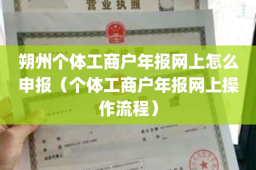 朔州个体工商户年报网上怎么申报（个体工商户年报网上操作流程）