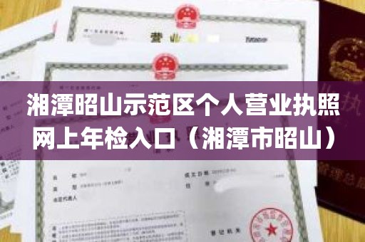 湘潭昭山示范区个人营业执照网上年检入口（湘潭市昭山）