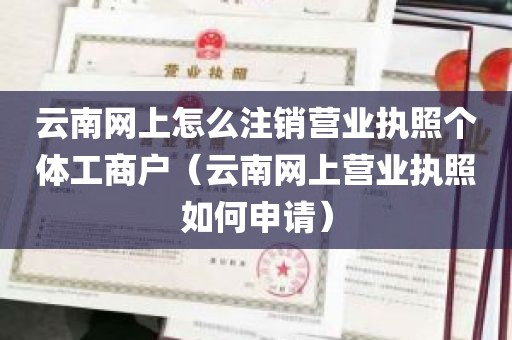 云南网上怎么注销营业执照个体工商户（云南网上营业执照如何申请）