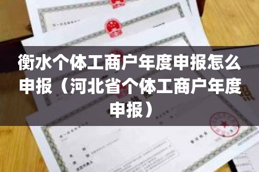 衡水个体工商户年度申报怎么申报（河北省个体工商户年度申报）