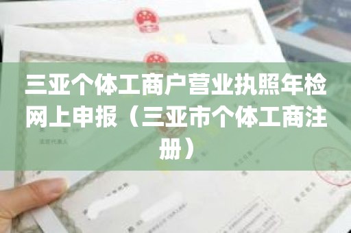 三亚个体工商户营业执照年检网上申报（三亚市个体工商注册）