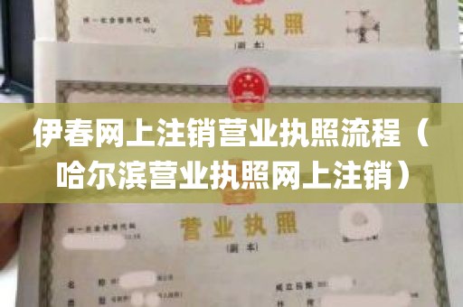 伊春网上注销营业执照流程（哈尔滨营业执照网上注销）