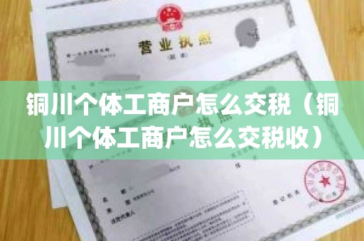 铜川个体工商户怎么交税（铜川个体工商户怎么交税收）