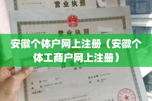 安徽个体户网上注册（安徽个体工商户网上注册）