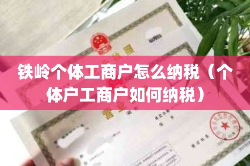 铁岭个体工商户怎么纳税（个体户工商户如何纳税）