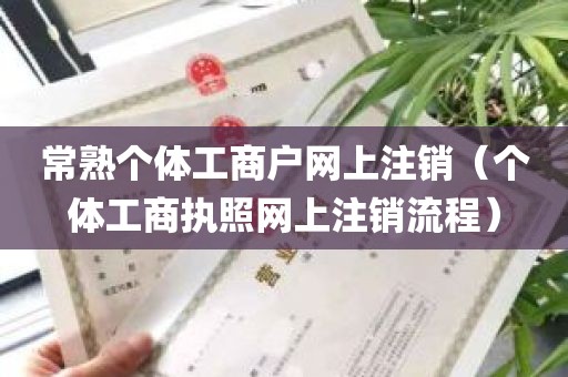 常熟个体工商户网上注销（个体工商执照网上注销流程）