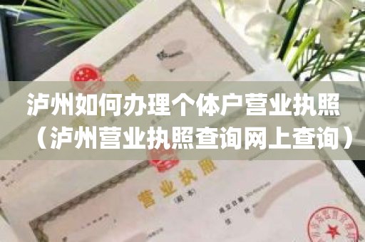 泸州如何办理个体户营业执照（泸州营业执照查询网上查询）