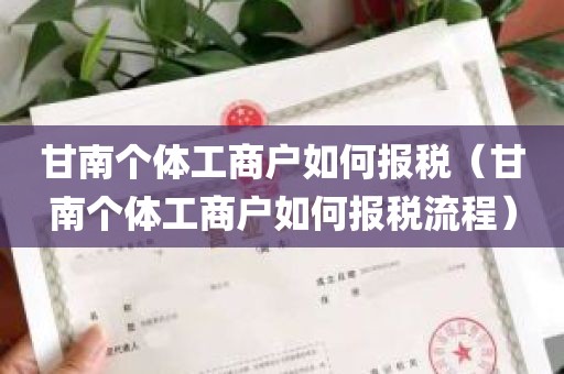 甘南个体工商户如何报税（甘南个体工商户如何报税流程）