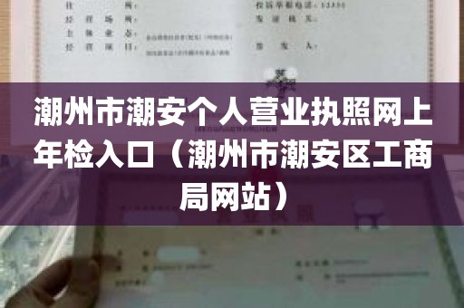 潮州市潮安个人营业执照网上年检入口（潮州市潮安区工商局网站）