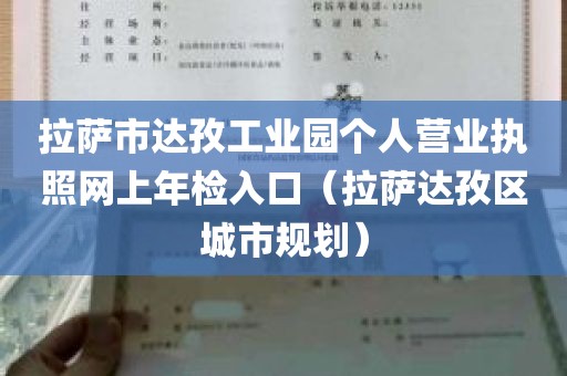 拉萨市达孜工业园个人营业执照网上年检入口（拉萨达孜区城市规划）