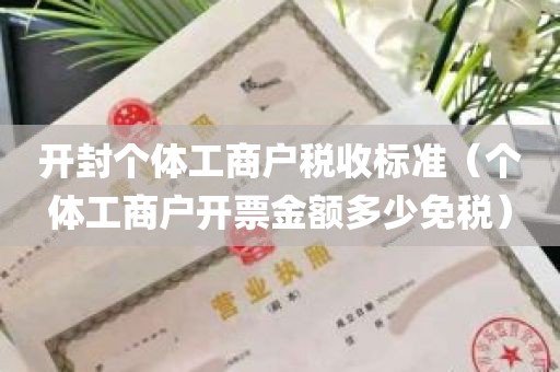 开封个体工商户税收标准（个体工商户开票金额多少免税）