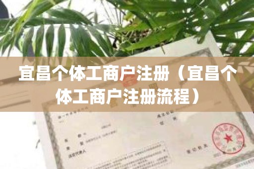 宜昌个体工商户注册（宜昌个体工商户注册流程）