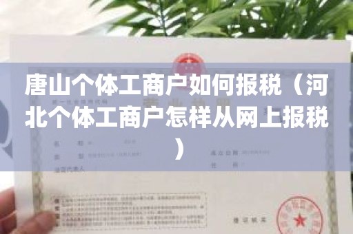 唐山个体工商户如何报税（河北个体工商户怎样从网上报税）