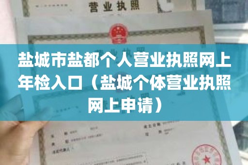 盐城市盐都个人营业执照网上年检入口（盐城个体营业执照网上申请）