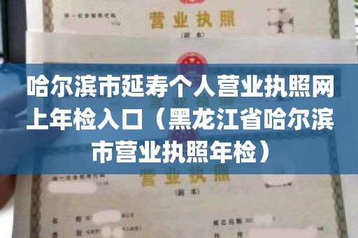 哈尔滨市延寿个人营业执照网上年检入口（黑龙江省哈尔滨市营业执照年检）