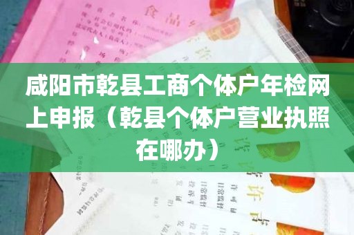 咸阳市乾县工商个体户年检网上申报（乾县个体户营业执照在哪办）