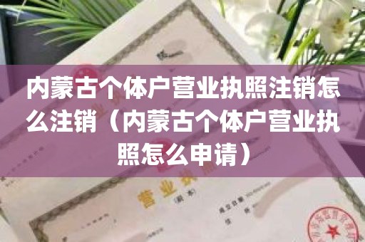 内蒙古个体户营业执照注销怎么注销（内蒙古个体户营业执照怎么申请）