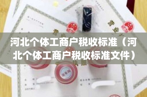 河北个体工商户税收标准（河北个体工商户税收标准文件）