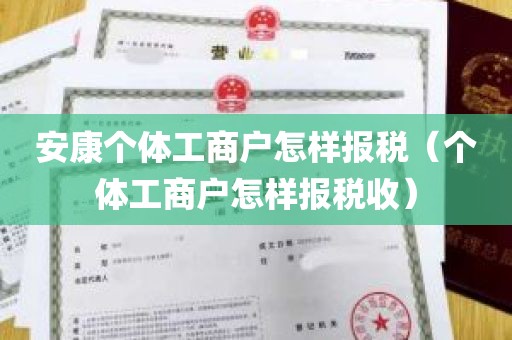 安康个体工商户怎样报税（个体工商户怎样报税收）