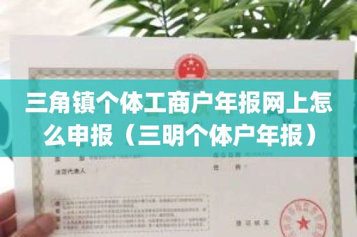 三角镇个体工商户年报网上怎么申报（三明个体户年报）