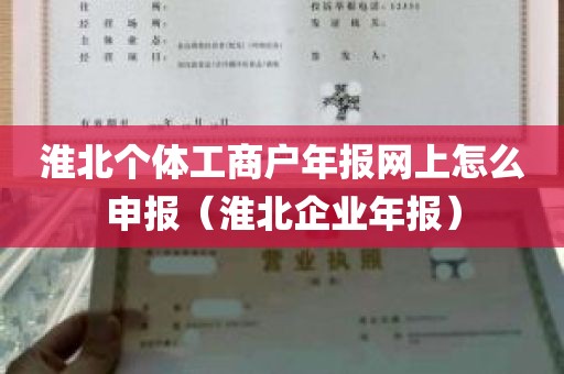 淮北个体工商户年报网上怎么申报（淮北企业年报）