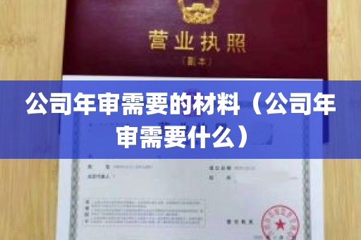 公司年审需要的材料（公司年审需要什么）