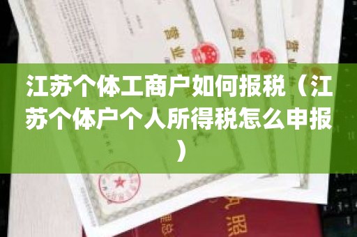 江苏个体工商户如何报税（江苏个体户个人所得税怎么申报）