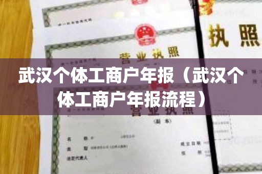 武汉个体工商户年报（武汉个体工商户年报流程）