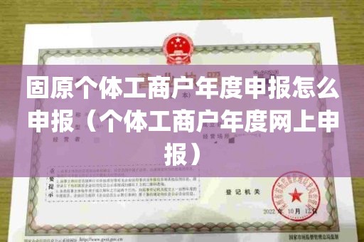 固原个体工商户年度申报怎么申报（个体工商户年度网上申报）