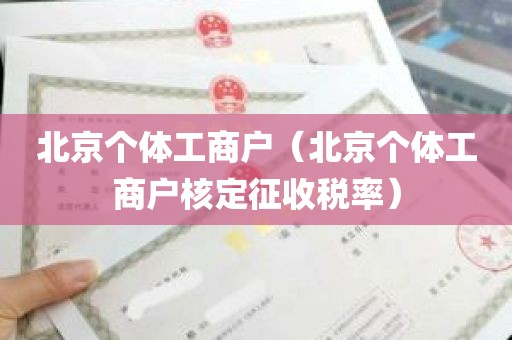 北京个体工商户（北京个体工商户核定征收税率）