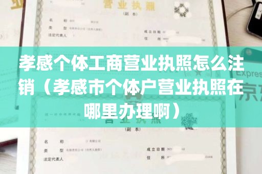 孝感个体工商营业执照怎么注销（孝感市个体户营业执照在哪里办理啊）