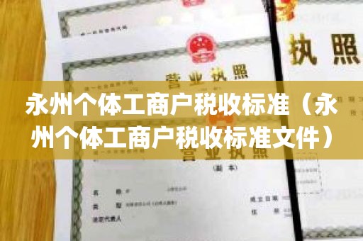 永州个体工商户税收标准（永州个体工商户税收标准文件）