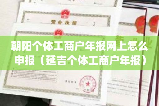 朝阳个体工商户年报网上怎么申报（延吉个体工商户年报）