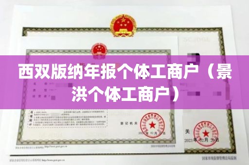 西双版纳年报个体工商户（景洪个体工商户）