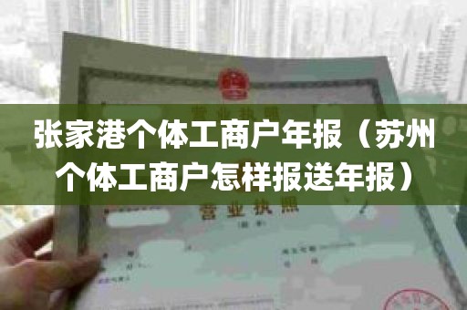 张家港个体工商户年报（苏州个体工商户怎样报送年报）