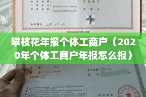 攀枝花年报个体工商户（2020年个体工商户年报怎么报）