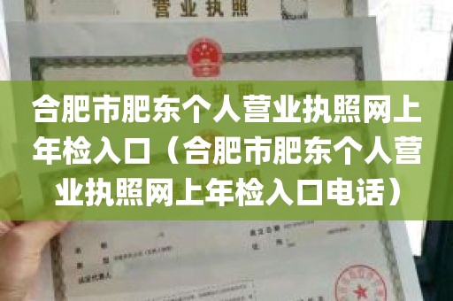 合肥市肥东个人营业执照网上年检入口（合肥市肥东个人营业执照网上年检入口电话）