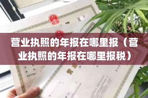 营业执照的年报在哪里报（营业执照的年报在哪里报税）