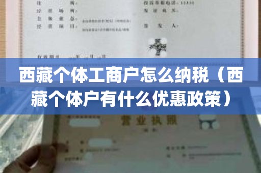 西藏个体工商户怎么纳税（西藏个体户有什么优惠政策）